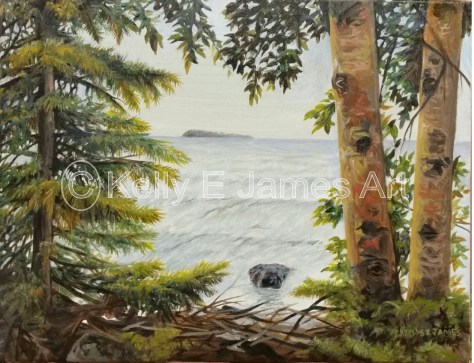 From the cool shade of the shoreline birch, a view of Turtle Island.