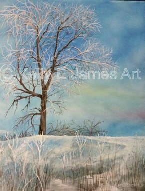 Trying to capture the sun on morning frost.