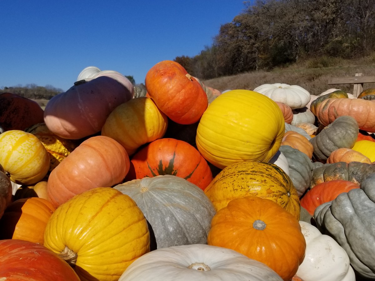 Best laid plans – aka:&nbsp;surprise!