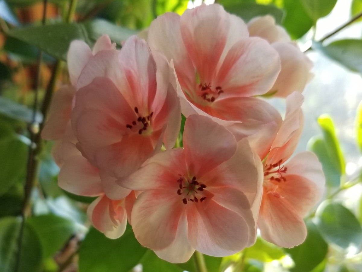 Time for the seasonal&nbsp;shift.