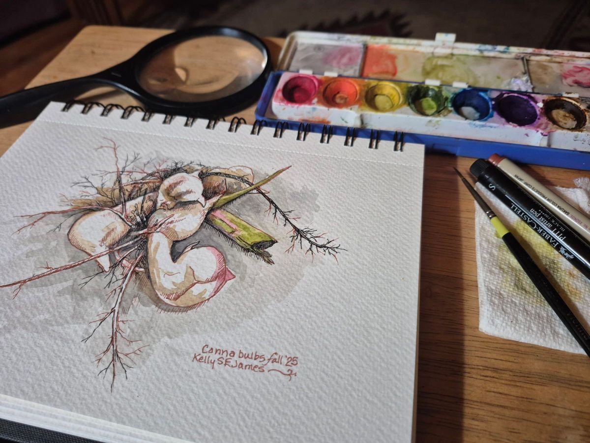 Mindfulness: an imperative&nbsp; process.